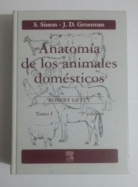 Anatomia de los Animales Domesticos Robert Getty