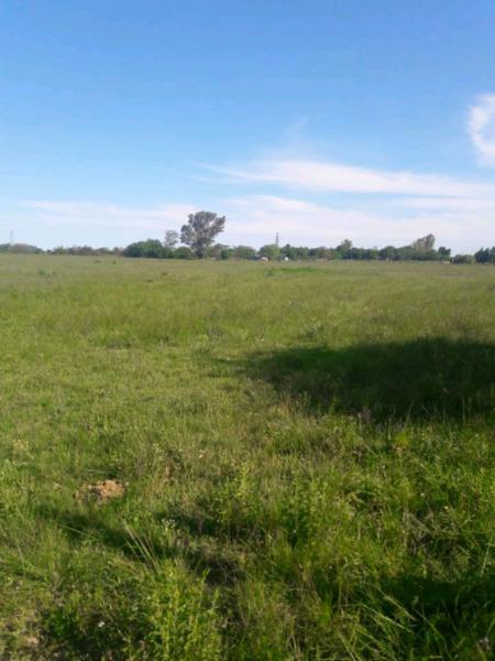 Campo en alquiler 7 hectareas. Rosario. Ideal deportivo,