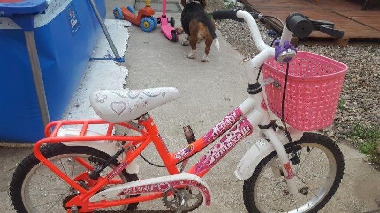 Bicicleta rodado 12 más Monopatín vegui