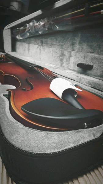 Vendo violin custom 4/4