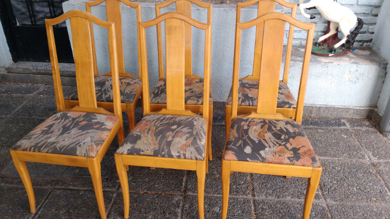 Hermoso juego de sillas de Roble tapizadas