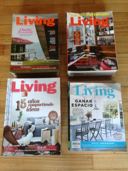 Lote 41 Revistas Living