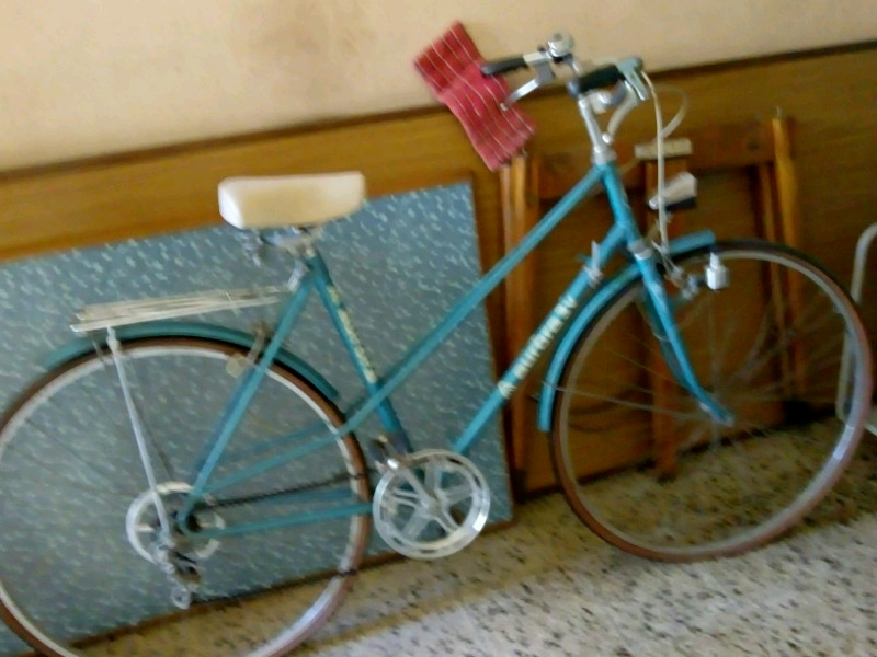 Bicicleta retro aurora