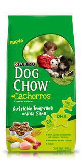 DOG CHOW CACHORRO X 21KG
