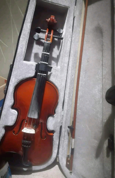 Violin 4/4 + microfono professional