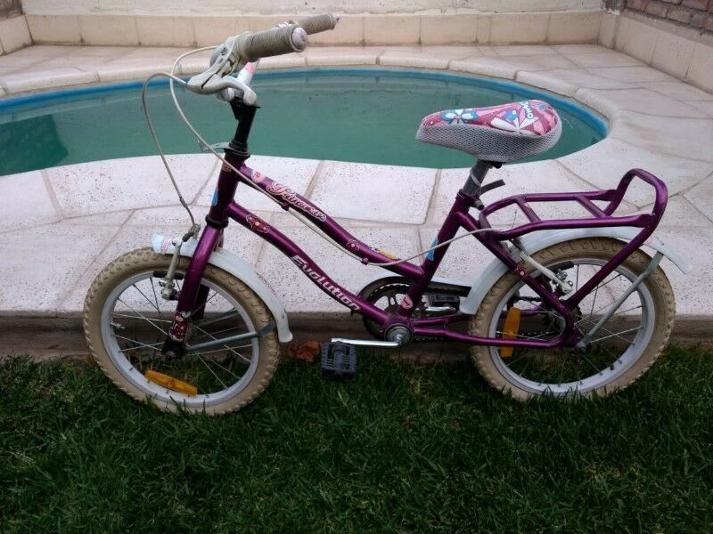 Vendo Bicicleta de nena Princesas Evolution