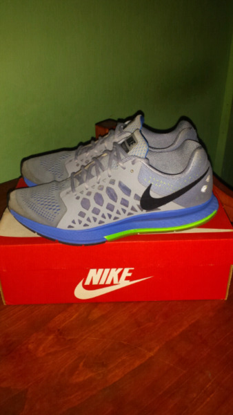 Zapatillas Nike Pegasus 31