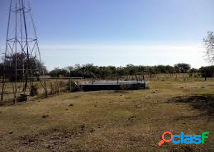 Vendo Campo Ganadero 10.000 hectáreas en General Alvear