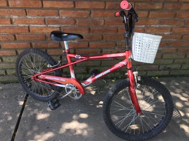 Bicicleta rodado 20 niño