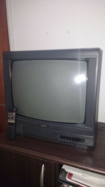 Vendo Sanyo 20'