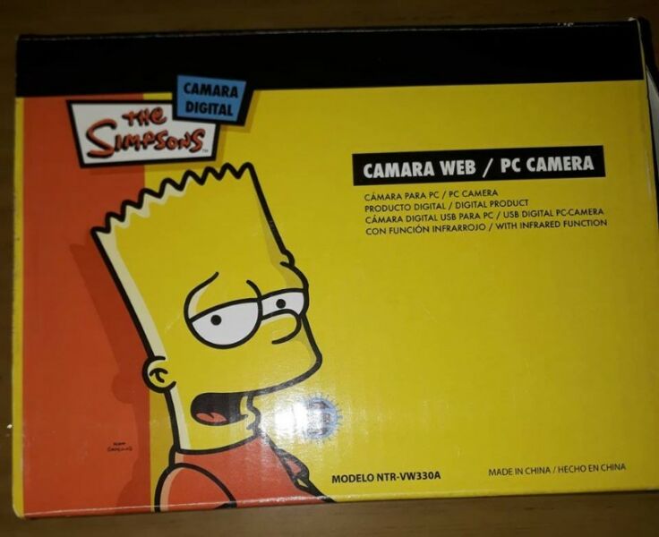 camara web edicion the simpsons