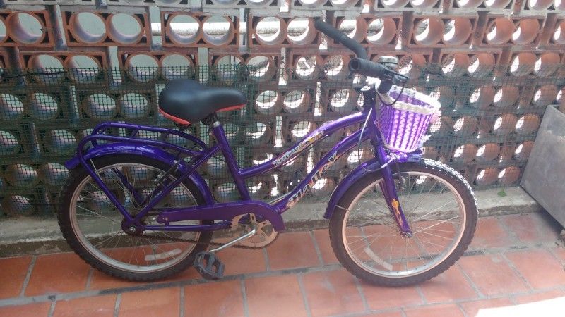 Bicicleta en venta