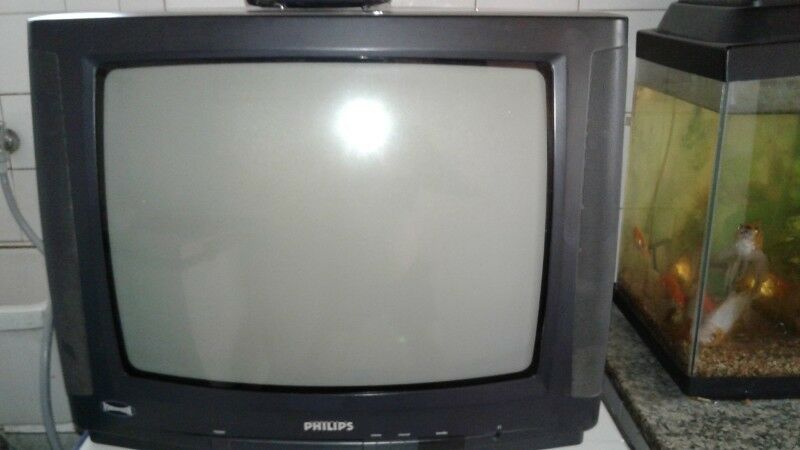 Televisor pilhips 21" con control remoto