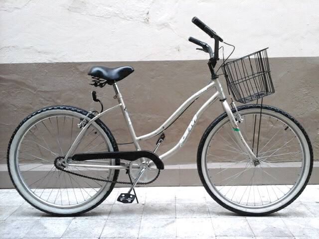 Bicicleta de paseo, rodado 26