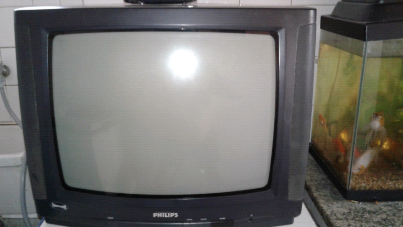 Televisor con control remoto 21"