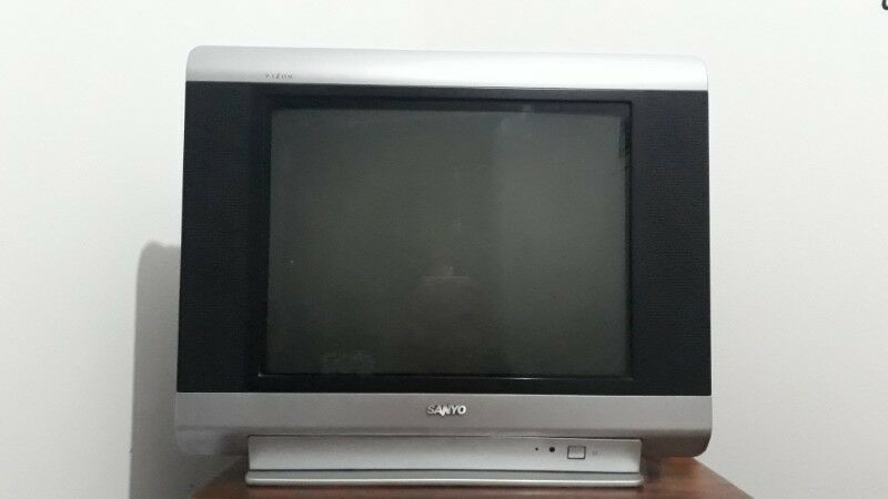 Vendo TV 29'