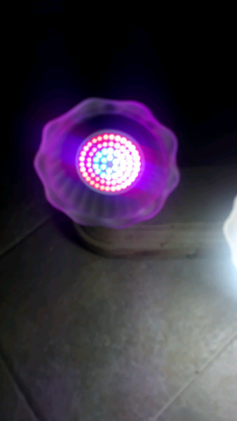 Dicroica LED con rosca foco común nuevas