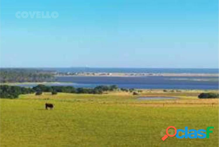 Terreno en Jose Ignacio