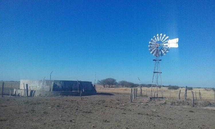 VENDO CAMPO MIXTO DE 8.000 HAS EN CLORINDA PROV. DE FORMOSA