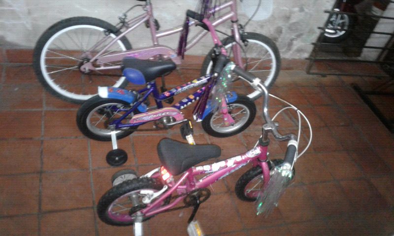 LOTE 3 BICICLETAS SIN GASTOS