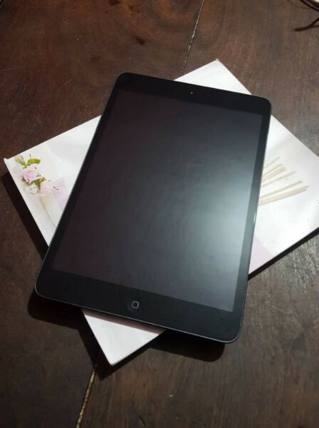iPad Mini Wifi 16g Como Nueva