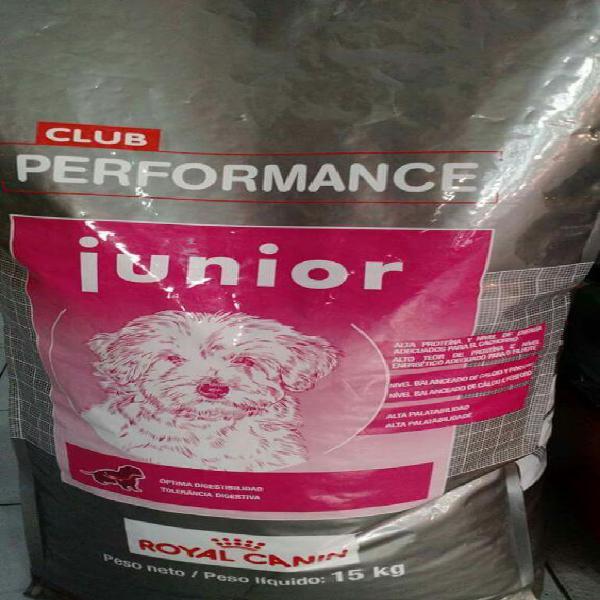 Performance junior 15 Kg