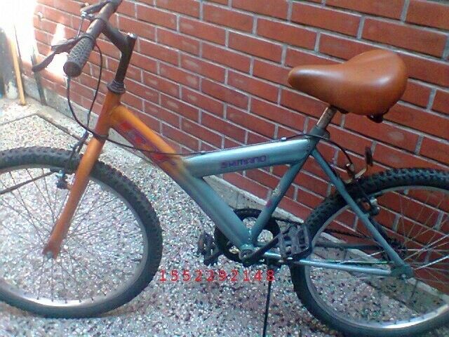 Bicicleta Rodados 24