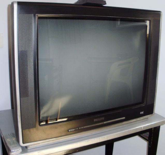 Televisor Philips 29 Pantalla Plana Real Flat