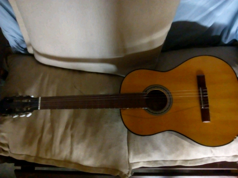 Vendo guitarra criolla