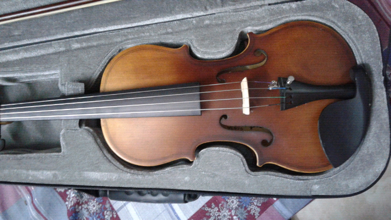 Violin parquer (nuevo)