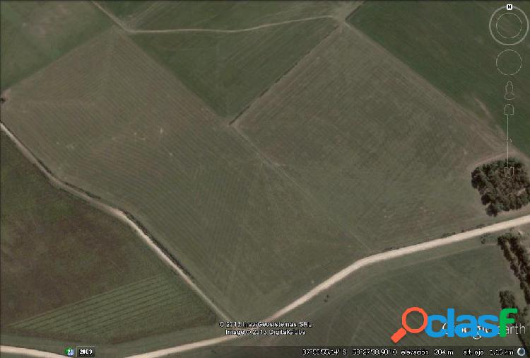90 has 100 % agricolas