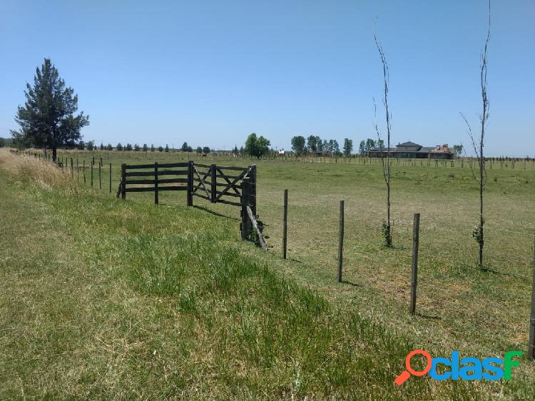 Lote Chacra en Estancia Malvinas - Barrio de Chacras