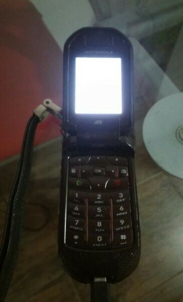Nextel Motorola i876