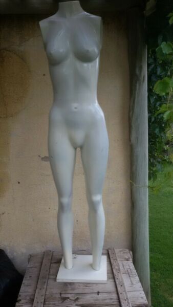 Vendo 2 Maniquies