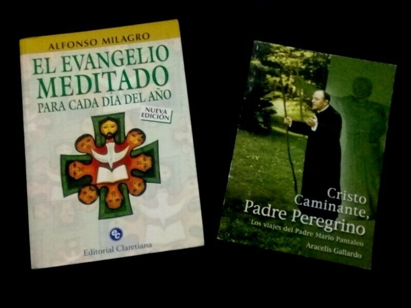 EL EVANGELIO MEDITADO / CRISTO CAMINANTE, PADRE PEREGRINO