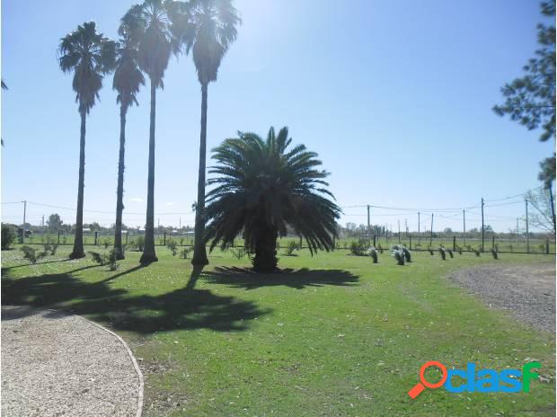 VENTA LOTE EN ROLDAN / BARRIO EL MOLINO - TODOS LOS