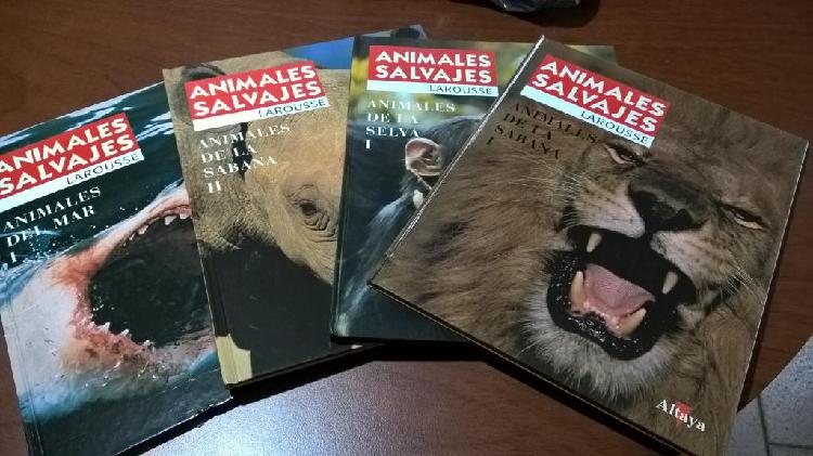 Enciclopedias de animales salvajes.
