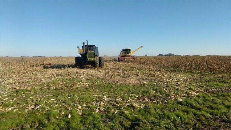 CAMPO EN VENTA, DPTO. GRAL. TABOADA. SANTIAGO DEL ESTERO.