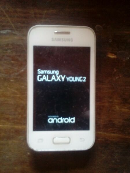 Celular Samsung Young