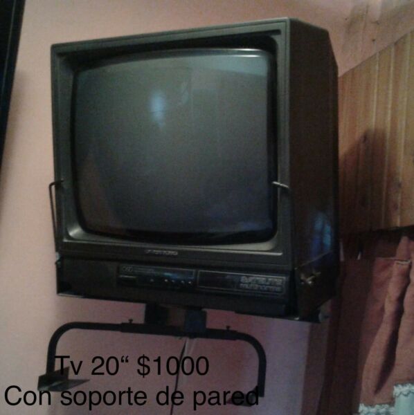 Tv 20 pulg con control