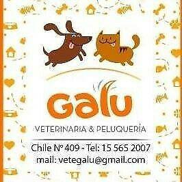 Clinica Veterinaria Cirugias Domicilios Pet Shop Peluqueria