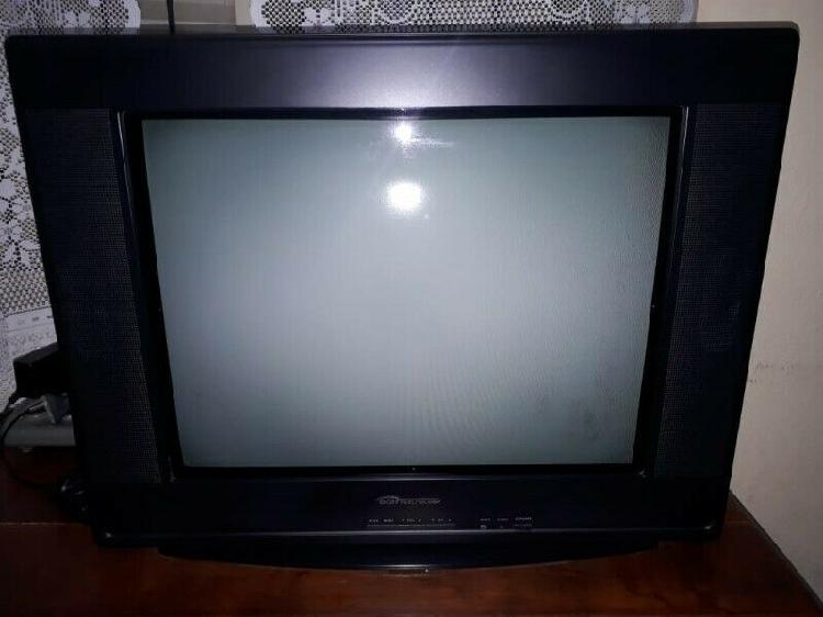 Vendo televisor BGH modelo bt2109usm