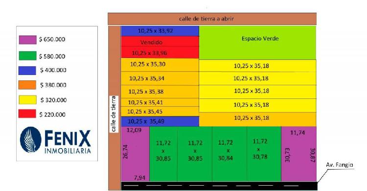 REF TF161 IMPERDIBLE LOTEO DON ARTURO I FENIX