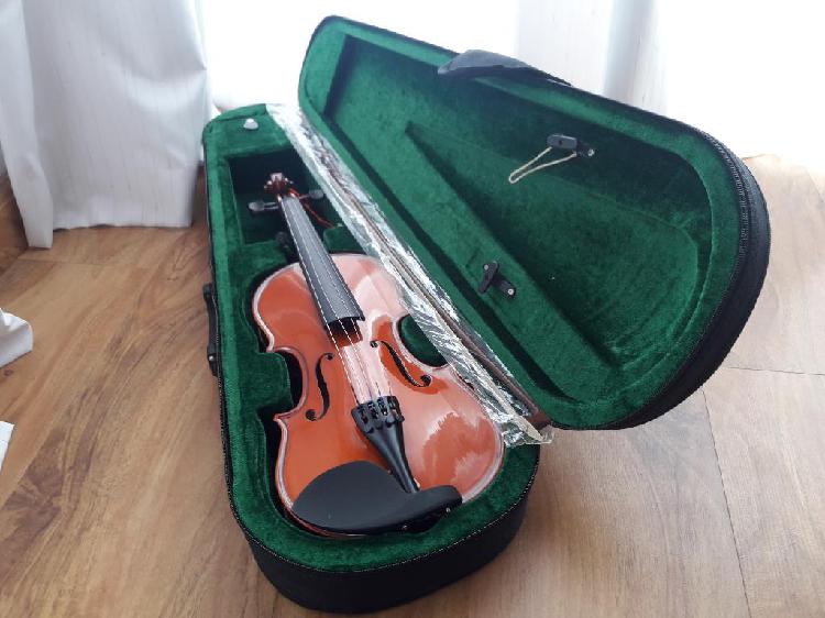 Violin de Estudio Principiante
