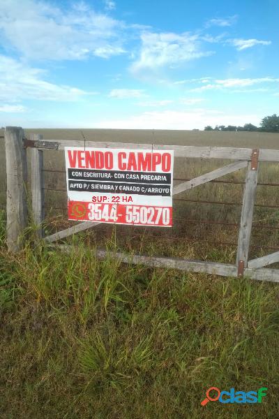 VENDO CAMPO DE 22HA EN ALMAFUERTE