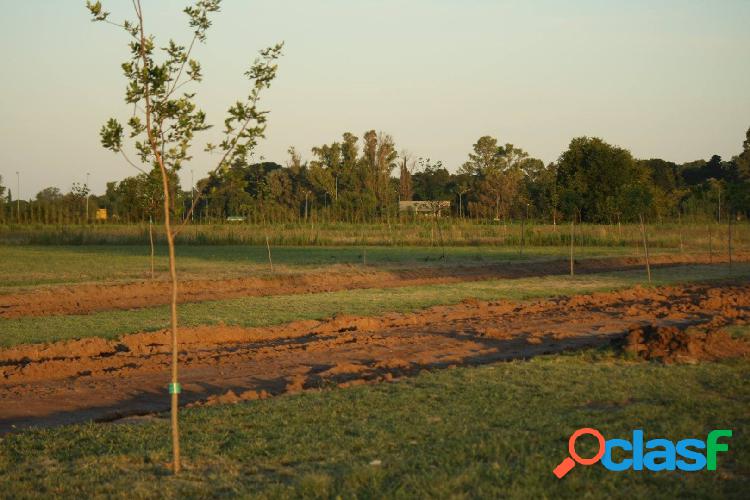 TERRENO EN ANDINO - IDEAL FIN DE SEMANA