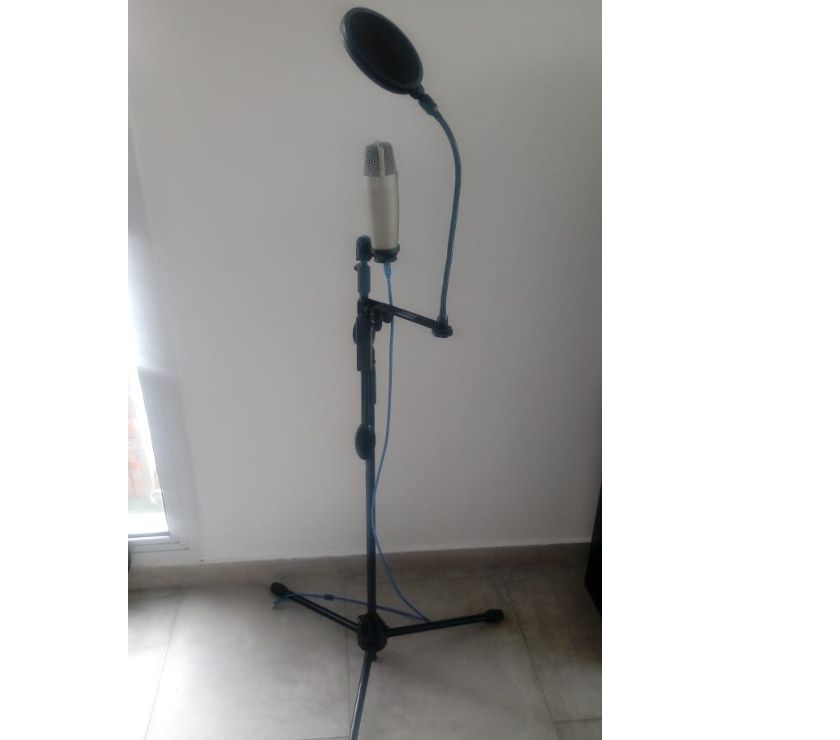 Microfono Samsom C01 +antipop+pie De Microfono