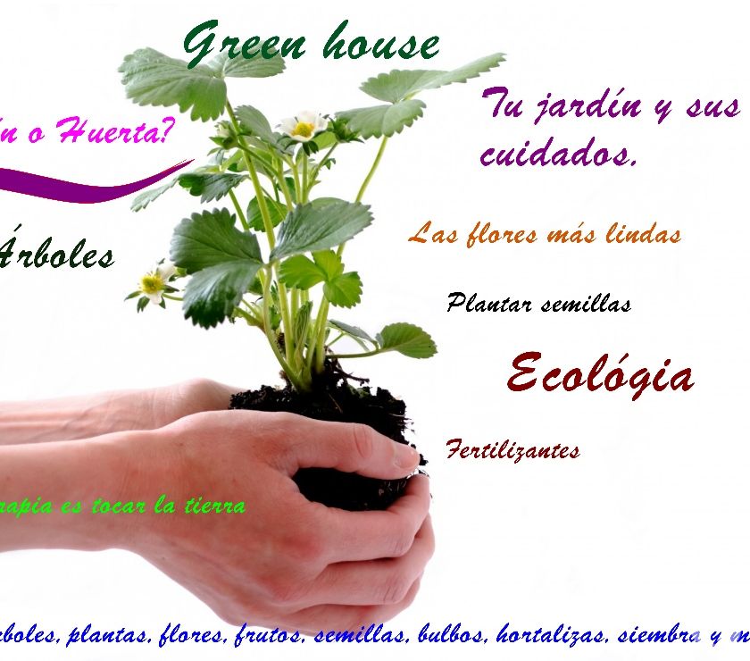 Vivero Green House