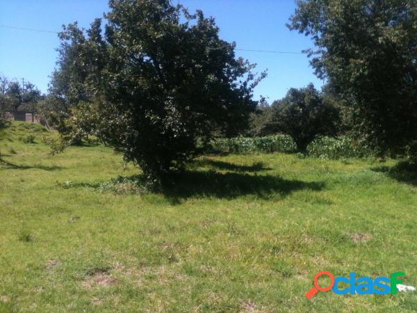 Terreno en Ezeiza, Carlos Spegazzini