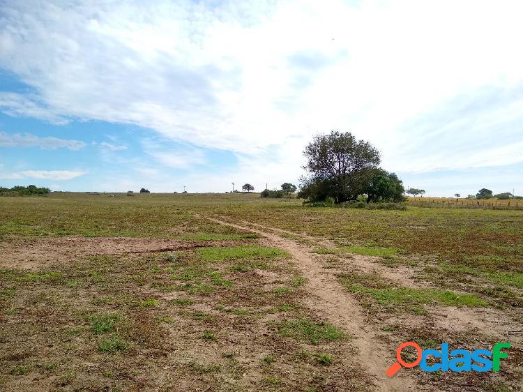 LOTES! COLINAS DE SINSACATE- 2.000m2